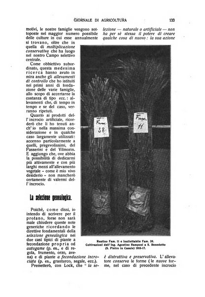 L' Italia agricola giornale di agricoltura