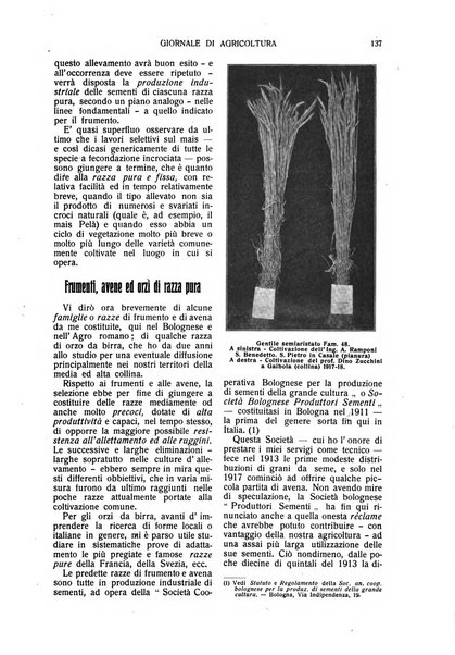 L' Italia agricola giornale di agricoltura