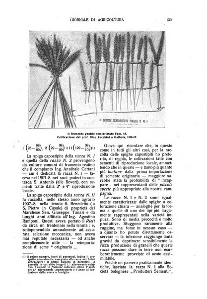 L' Italia agricola giornale di agricoltura