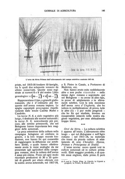 L' Italia agricola giornale di agricoltura