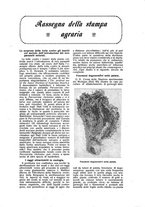 giornale/TO00210416/1919/unico/00000193