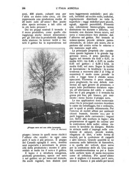 L' Italia agricola giornale di agricoltura