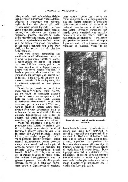 L' Italia agricola giornale di agricoltura