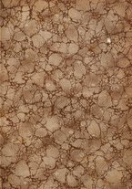 giornale/TO00210419/1908/unico/00000003