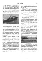 giornale/TO00210419/1913/unico/00000097