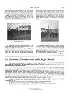 giornale/TO00210419/1913/unico/00000399
