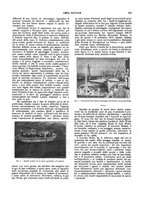 giornale/TO00210419/1913/unico/00000683
