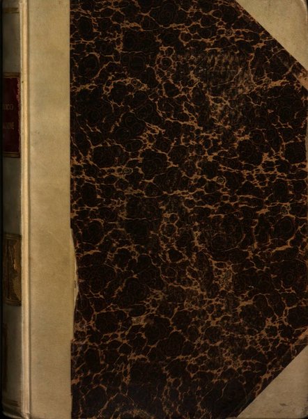 Rivista di diritto pubblico e della pubblica amministrazione in Italia. La giustizia amministrativa raccolta completa di giurisprudenza amministrativa esposta sistematicamente