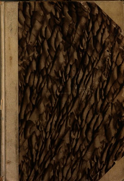 Rivista di diritto pubblico e della pubblica amministrazione in Italia. La giustizia amministrativa raccolta completa di giurisprudenza amministrativa esposta sistematicamente