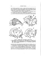 giornale/TO00210678/1925/unico/00000076