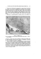 giornale/TO00210678/1925/unico/00000079