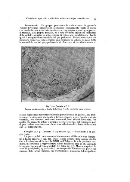 Archivio generale di neurologia, psichiatria e psicoanalisi