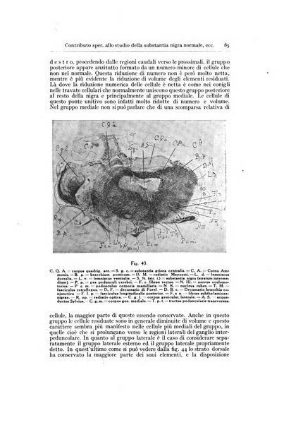 Archivio generale di neurologia, psichiatria e psicoanalisi