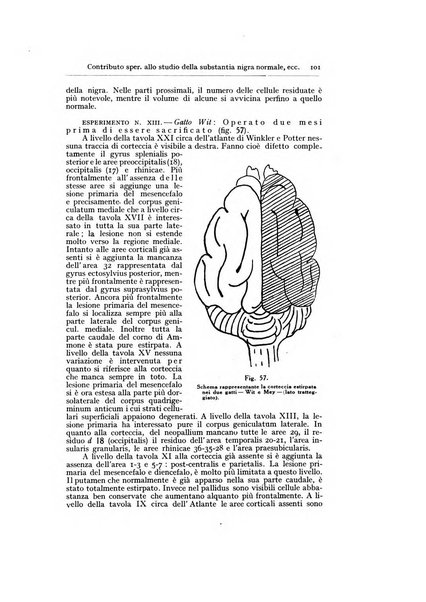 Archivio generale di neurologia, psichiatria e psicoanalisi