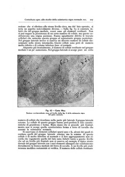 Archivio generale di neurologia, psichiatria e psicoanalisi