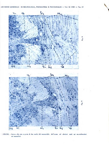 Archivio generale di neurologia, psichiatria e psicoanalisi