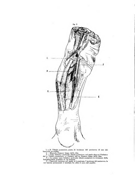 Archivio generale di neurologia, psichiatria e psicoanalisi