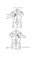 giornale/TO00210678/1930/unico/00000211