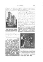 giornale/TO00210681/1923/unico/00000315