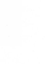 giornale/TO00210681/1925/unico/00000003