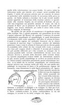 giornale/TO00210851/1927/unico/00000027