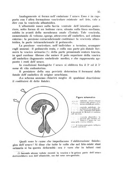 Giornale medico dell'Ospedale civile di Venezia