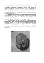 giornale/TO00210851/1927/unico/00000345