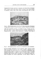 giornale/TO00210851/1929/unico/00000209