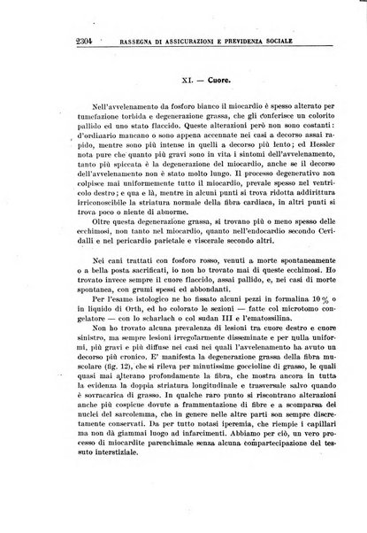 Rassegna di assicurazioni e previdenza sociale bollettino mensile della Cassa nazionale d'assicurazione per gli infortuni degli operai sul lavoro