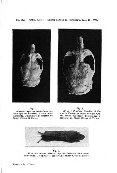 Studi trentini. Ser. 2, Scienze naturali ed economiche