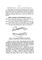 giornale/TO00211102/1927/unico/00000077