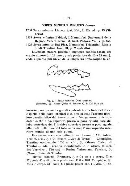 Studi trentini. Ser. 2, Scienze naturali ed economiche