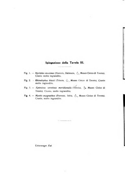 Studi trentini. Ser. 2, Scienze naturali ed economiche