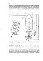 giornale/TO00212320/1943/unico/00000056