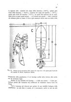 giornale/TO00212320/1943/unico/00000057