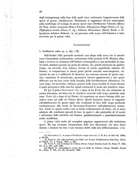 Archivio di oceanografia e limnologia