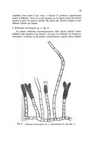 giornale/TO00212320/1943/unico/00000077