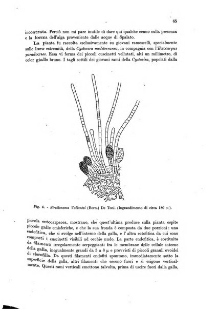 Archivio di oceanografia e limnologia