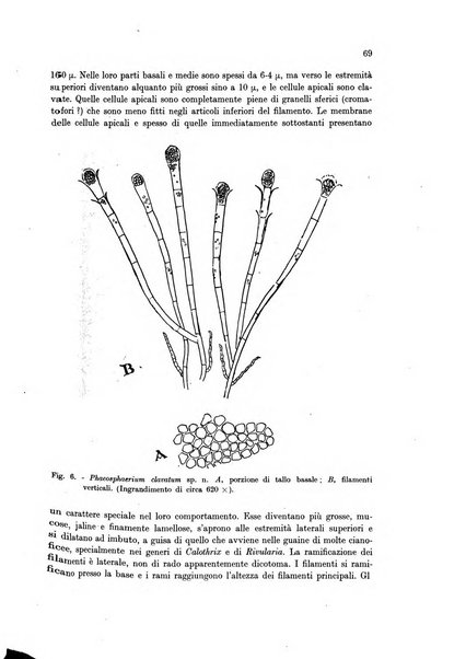 Archivio di oceanografia e limnologia