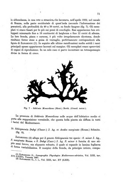 Archivio di oceanografia e limnologia