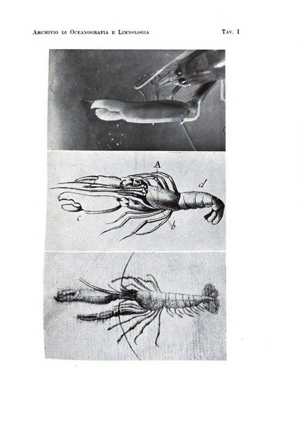 Archivio di oceanografia e limnologia