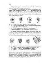 giornale/TO00212320/1943/unico/00000226