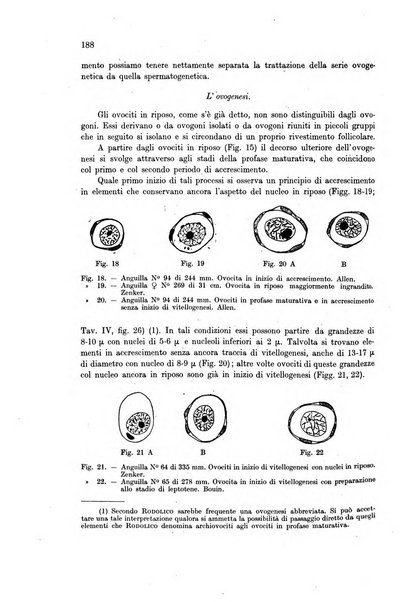 Archivio di oceanografia e limnologia