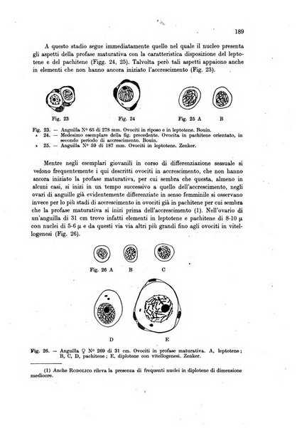 Archivio di oceanografia e limnologia