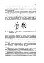 giornale/TO00212320/1943/unico/00000233