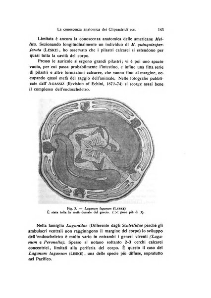 Bollettino di zoologia