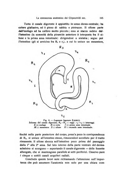 Bollettino di zoologia