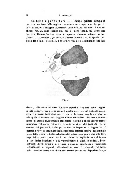 Bollettino di zoologia