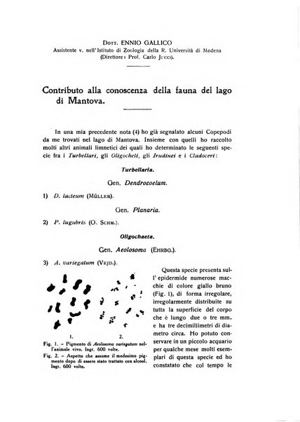 Bollettino di zoologia