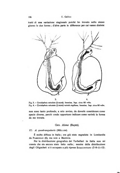 Bollettino di zoologia